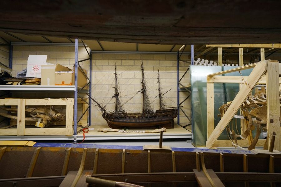 Los tesoros ocultos del Aquarium