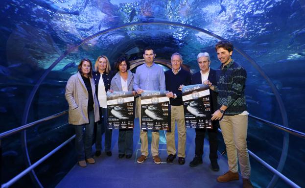 La contaminación de los mares centrará parte de la programación del Ciclo de Cine Submarino