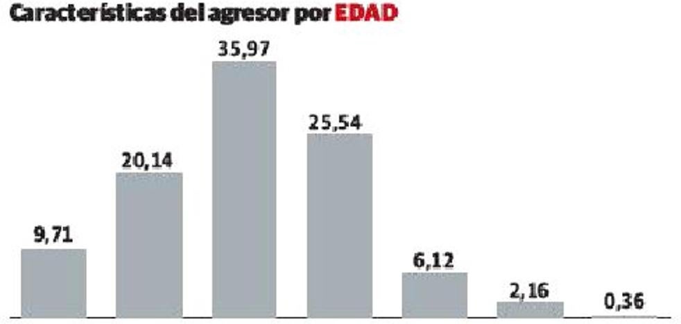 Solo el 1% de los maltratadores vascos que superan la terapia para rehabilitarse reincide