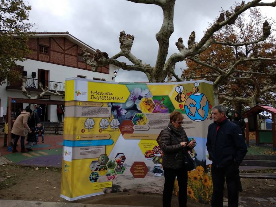 Kalitate handiko Errezil sagarra Gabirian