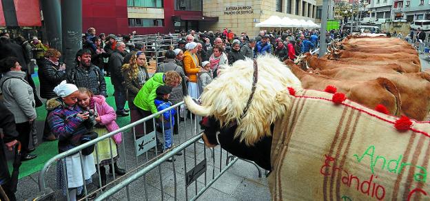Los animales de la feria, a Calbetón