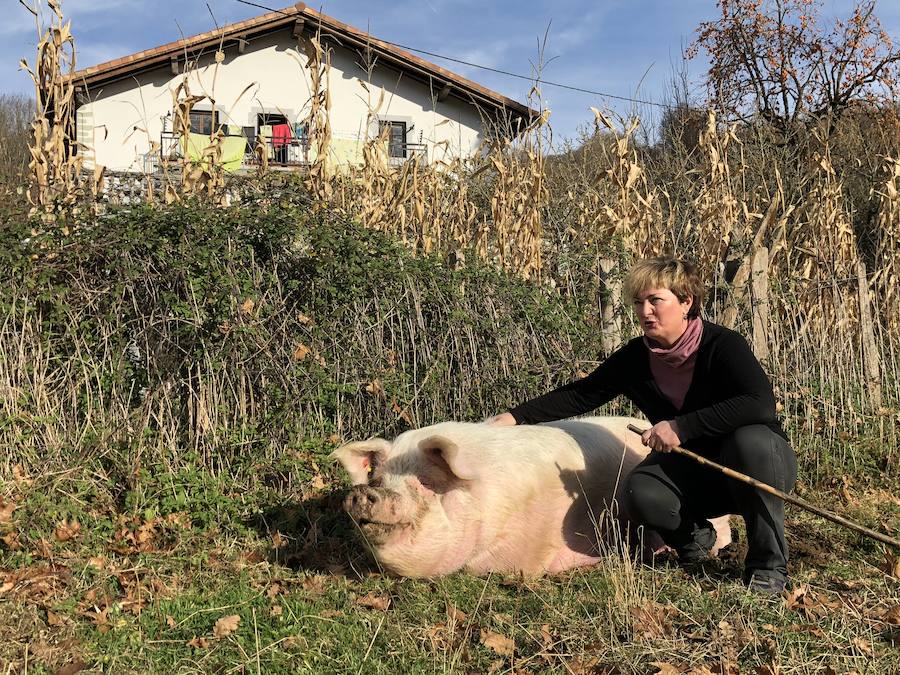 'Gilda' presidirá la fiesta de Santo Tomás en Donostia