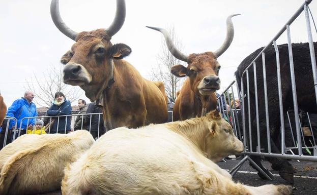 La Feria de Santa Lucía contará con 263 puestos en Zumarraga y 151 en Urretxu