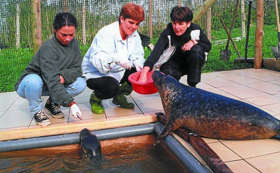 Arrano Etxea, un hospital para animales