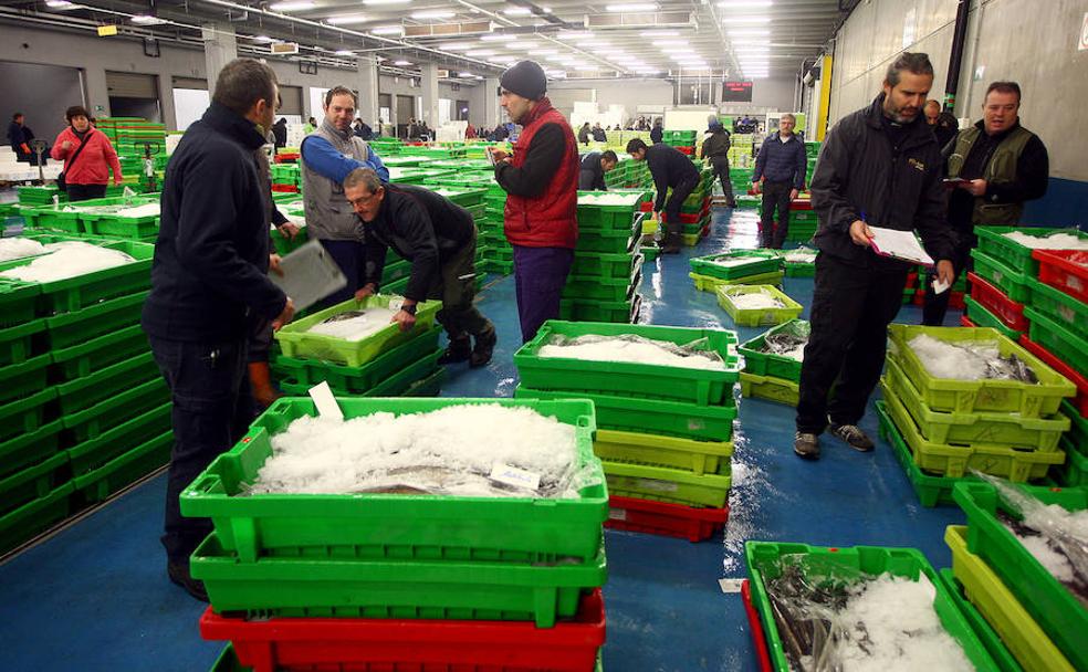 Pasaia, la gran despensa del mar