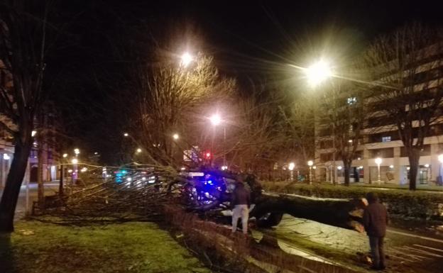 Vientos de hasta 118 km/hora provocan decenas de incidencias en todo Gipuzkoa