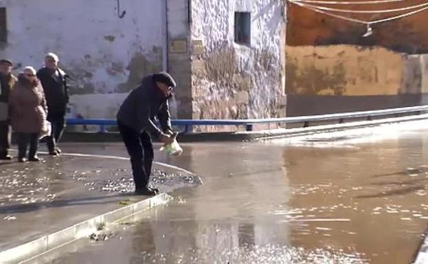Recogen peces a mano en plena calle en Miranda de Ebro por el desbordamiento del río