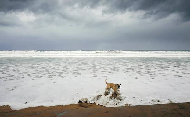 Anuncian un nuevo temporal con nieve a 400 metros en Gipuzkoa
