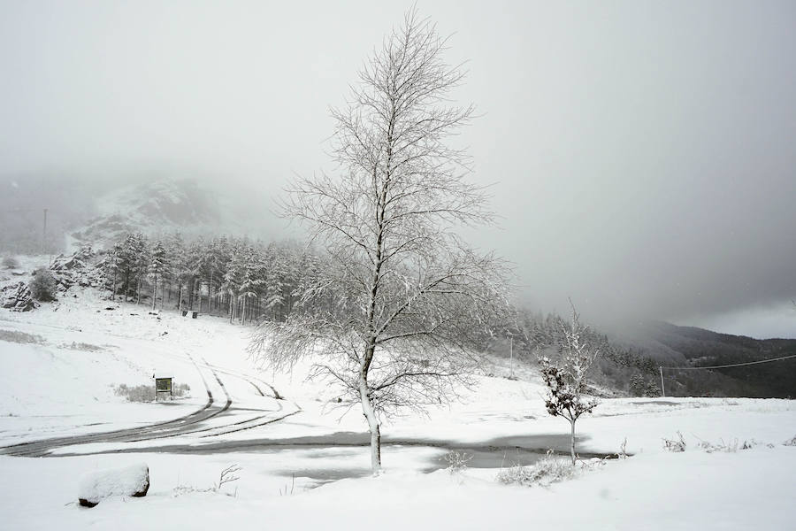 La nieve llega a Berastegi y Pagozelai