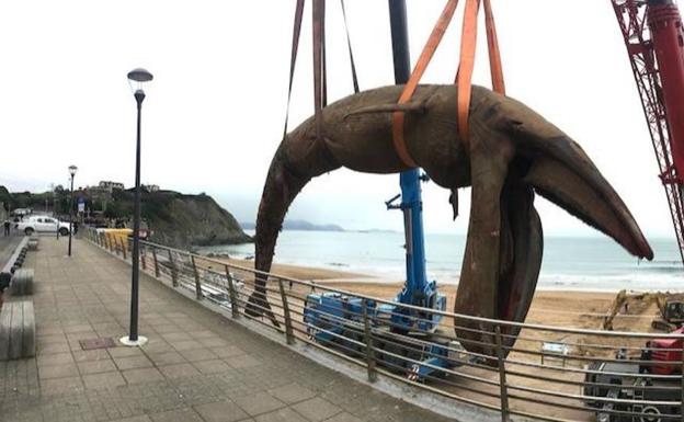 Trasladan al vertedero de Artigas a la ballena varada en Sopela