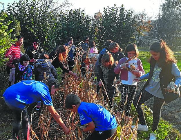 Familientzako bi tailer didaktiko izango ditugu otsailean Igartubeitin