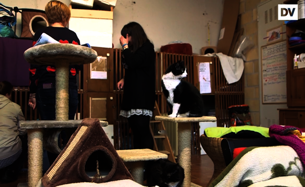 «Aterpea zaindu eta sendagaiak eman ahal izatea», ardura handienak