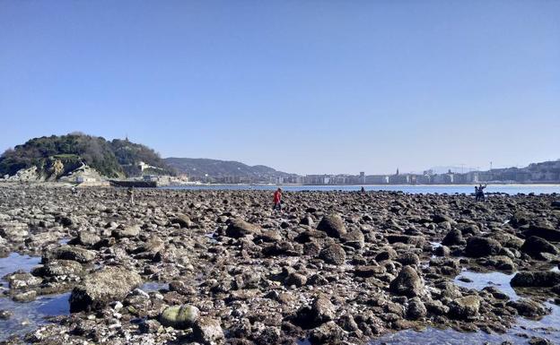 La cara más bella de la marea