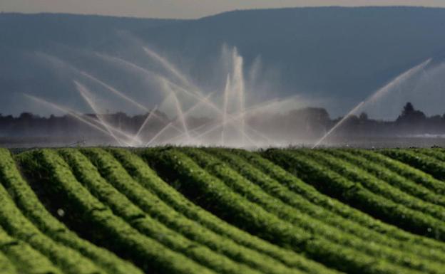 La agricultura inteligente, la puesta a punto del mundo rural