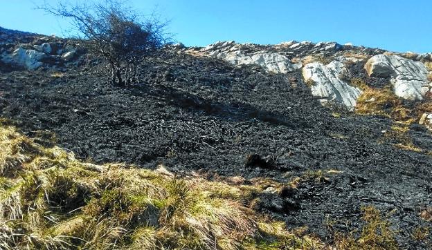 Un incendio intencionado calcina siete hectáreas en el monte Hernio