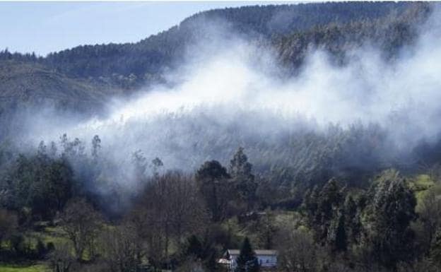 La Ertzaintza sospecha que un ganadero provocó el incendio de Muskiz