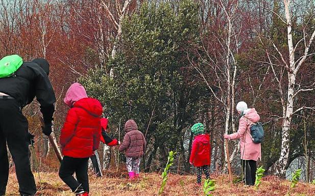 Plantación de 150 árboles y arbustos en Elorriaga, este domingo | El Diario  Vasco