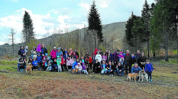 Pon un árbol en tu vida