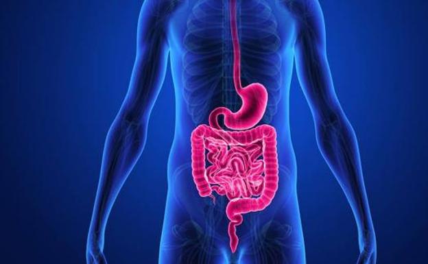 Entre un 5% y un 10% de los cáncer de colon tienen componente hereditario