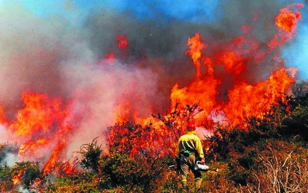 Prohibidas las quemas prescritas en toda Navarra sin autorización previa