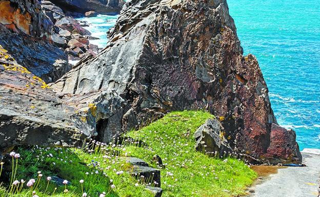 Una delicada flor en exclusiva