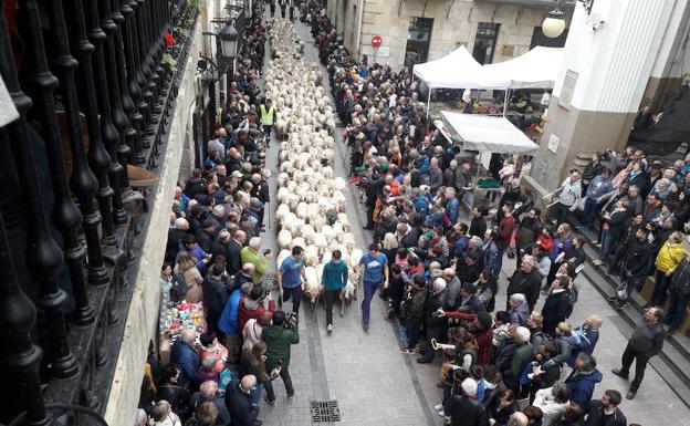 Ordizia, meca del queso Idiazabal
