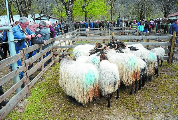Elizondo celebra mañana una nueva edición de su Feria de Primavera