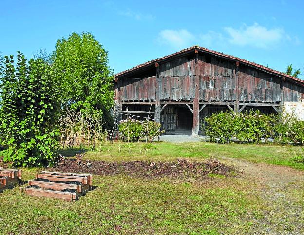 Nazioarteko berrogei artista baino gehiago aurkeztu dira PATRIM+era