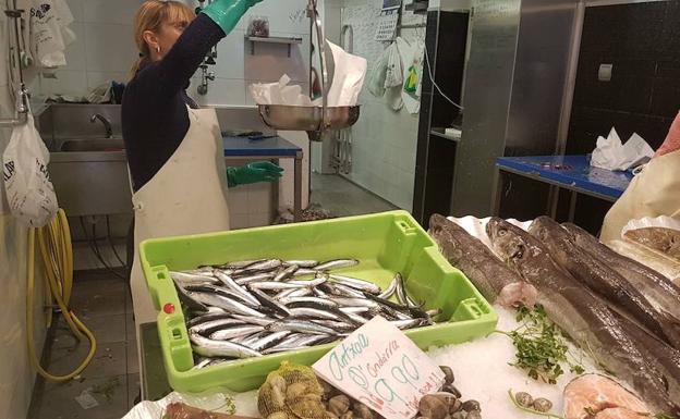 La flota vasca captura 7.000 toneladas de anchoa en un inicio «intenso» de campaña