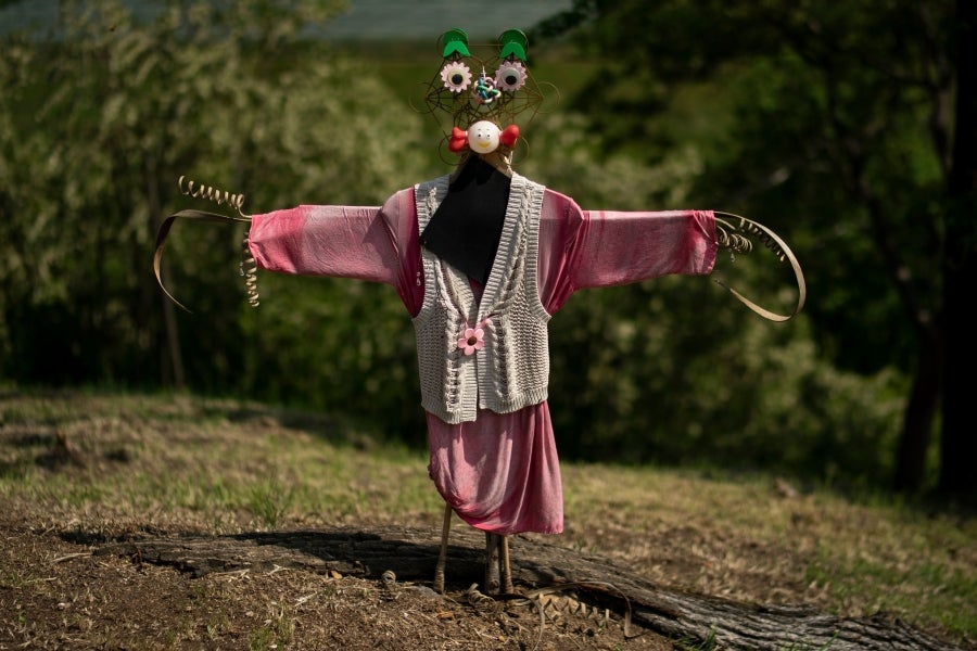 Feria de Espantapájaros