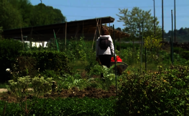 Lurra landu, garaian garaikoarekin