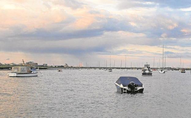 Camarones yonquis en los ríos ingleses