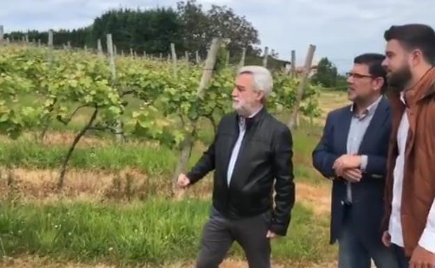 Cano (PP) apuesta por apoyar «decididamente» a las pymes guipuzcoanas y la producción de Gipuzkoa