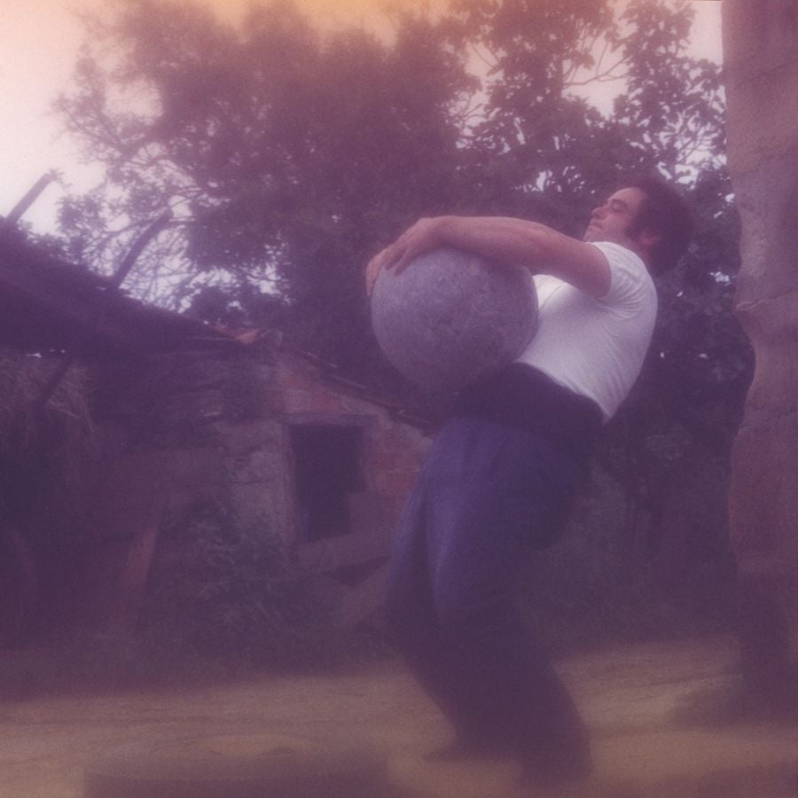 Las obras cedidas de los Koch