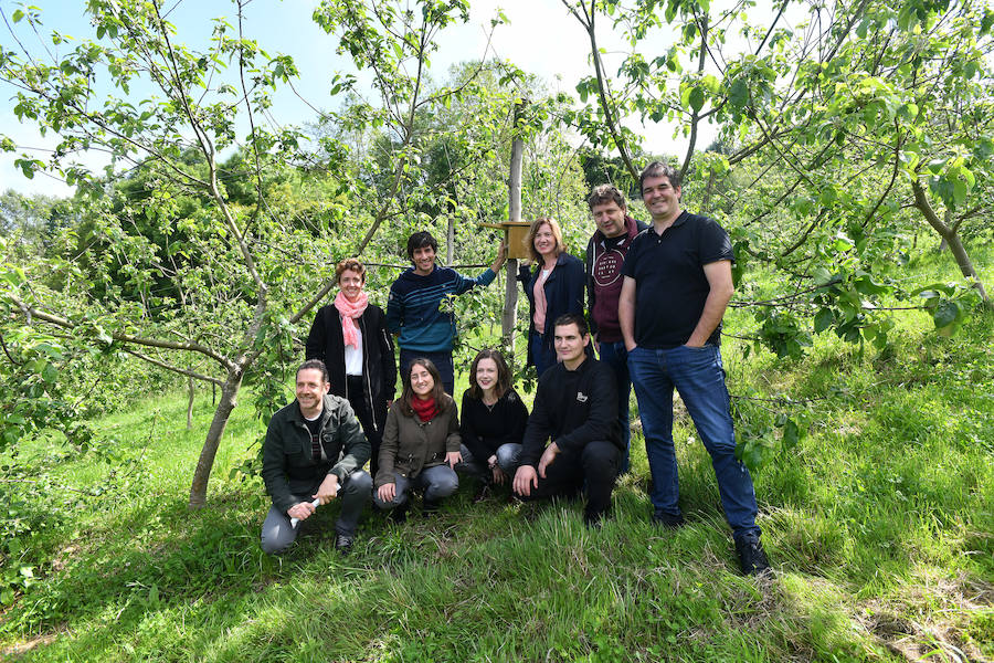 Aves y murciélagos, los nuevos escoltas de las viñas y manzanos de Gipuzkoa