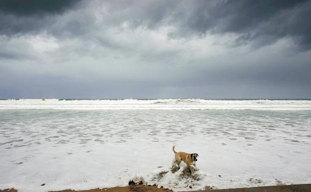 Se anuncian vientos de más de 100 km/h y fuerte oleaje al paso de 'Miguel' por Euskadi