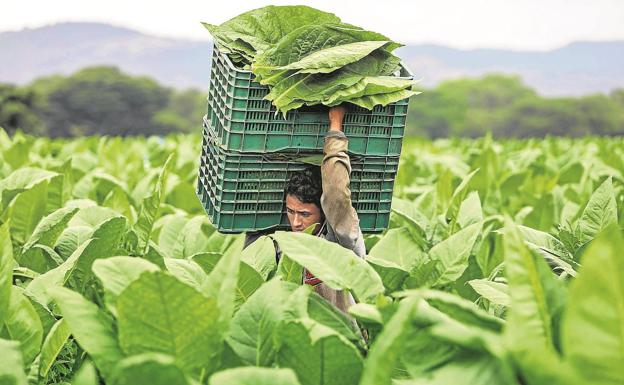 Nicaragua huele a Cuba