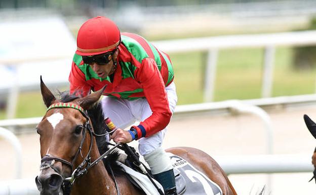 Analizan si se puede poner césped sintético en el hipódromo