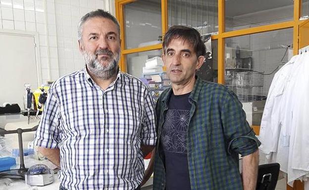 El consumo de drogas favorece la muerte súbita por fallo cardiaco en jóvenes