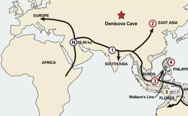 Hallan dos nuevas «especies fantasma» de humanos en nuestro ADN