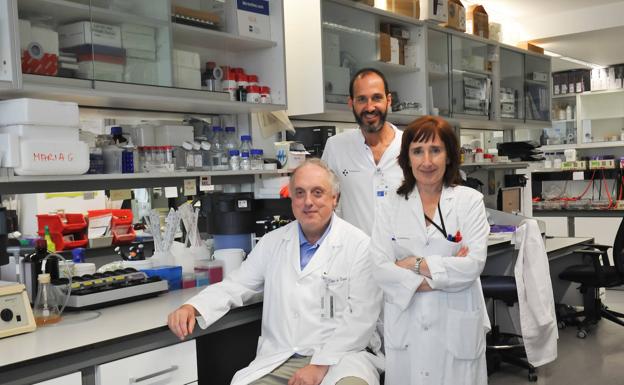 Biodonostia ayuda a descubrir una mutación genética que protege contra el alzhéimer