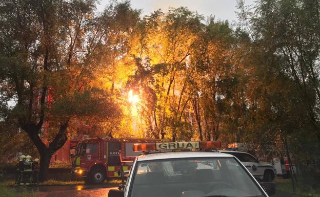 Caen varias ramas sobre la catenaria de las vías del tren en Andoain