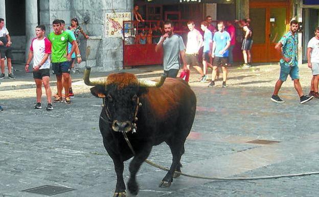 EQUO Berdeak reclama acabar con la 'sokamuturra' en toda Euskadi