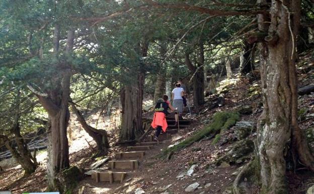Rescatado un montañero de Arrasate que se rompió una pierna en Palencia