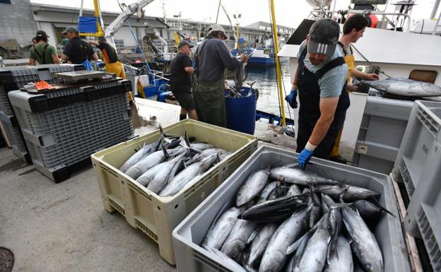 Balance agridulce de la flota vasca en el cierre de la costera del bonito por la escasa cuota