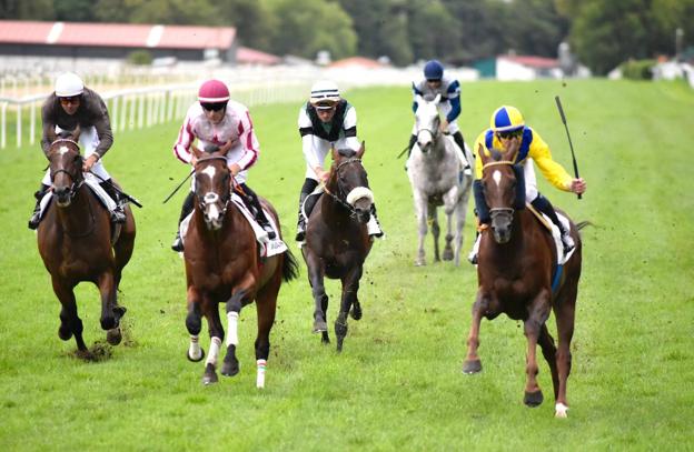 Los caballos de Óscar Anaya están que se salen