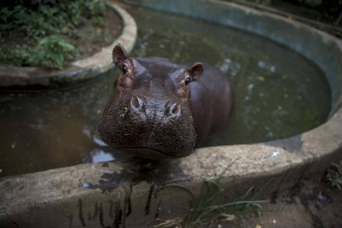 Así no pasará hambre