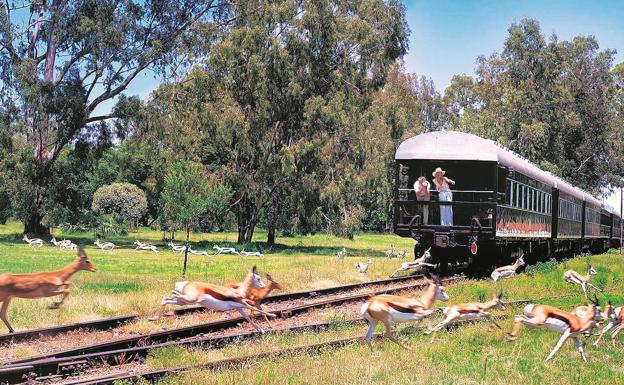 El tren que une los océanos Índico y Atlántico