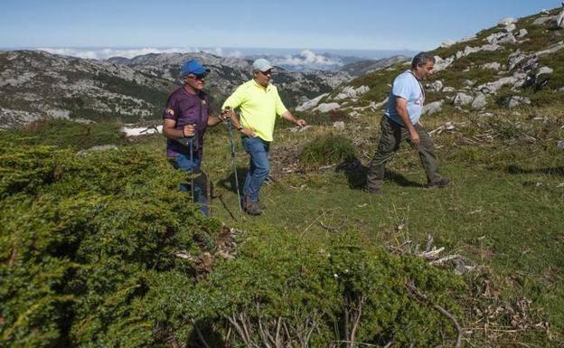 Identifican los restos de Eloy Campillo, guarda de los Picos de Europa asesinado por los maquis en 1945