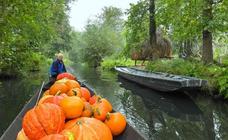 La 'autovía' del Spreewald